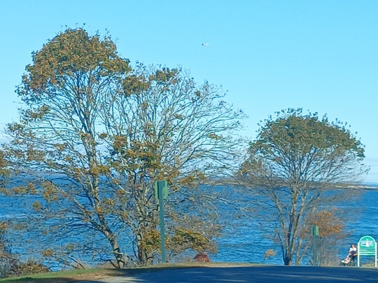 Fort Williams Park-开普伊丽莎白必去景点