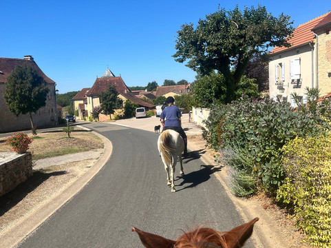 Centre Equestre Du Passe-Temps主图