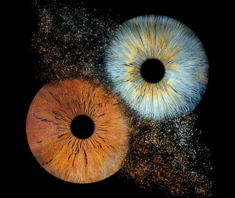 Iris Galerie Groningen