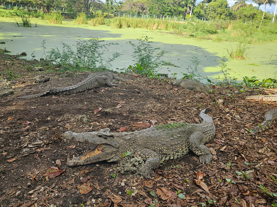 Havacubvision-巴拉德罗必去景点