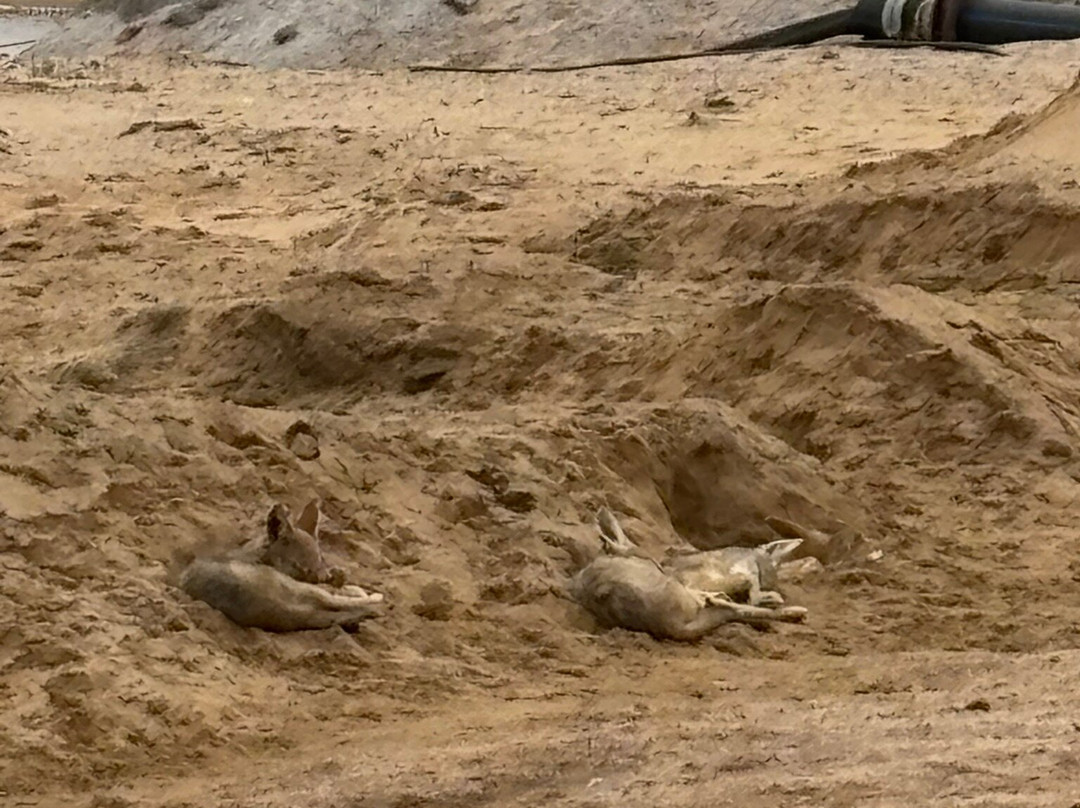Walvis Bay Waterfront-华维斯湾必去景点
