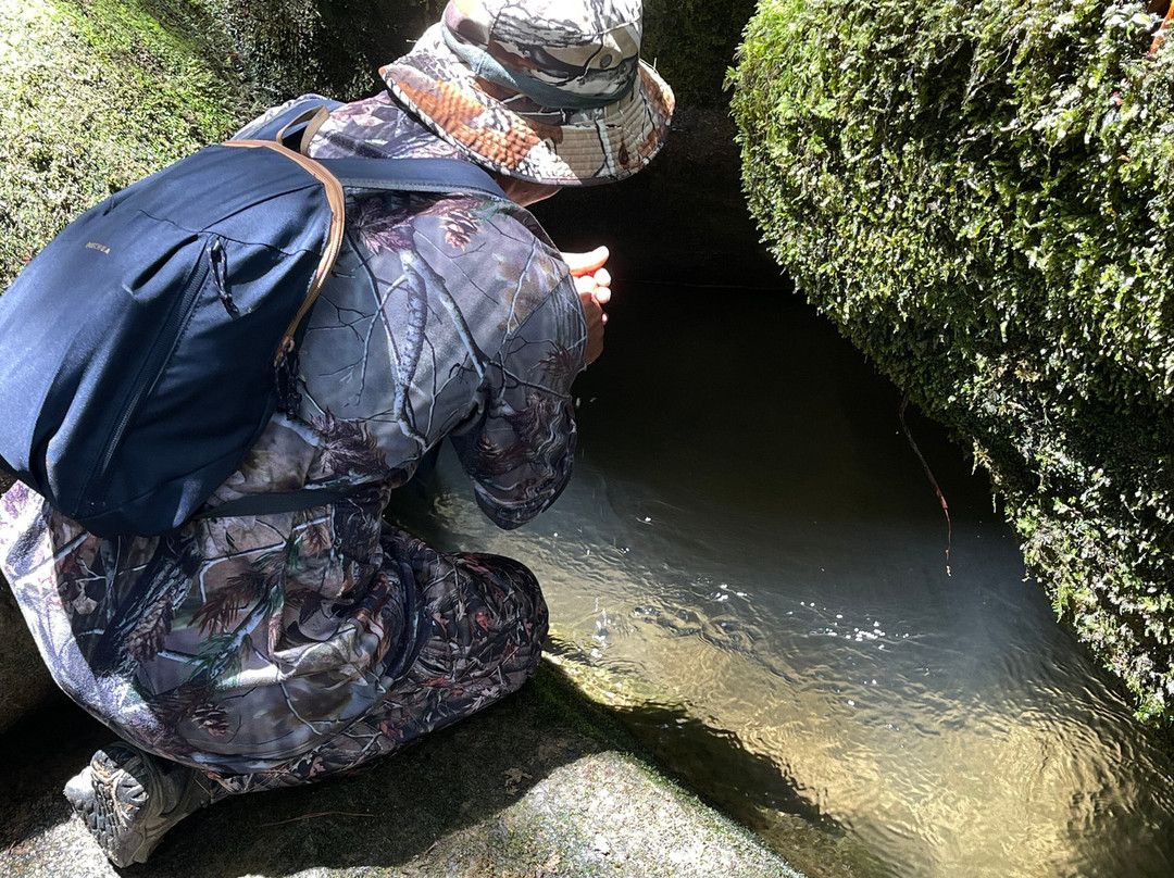 Ruta agroturistica El Palmar-San Rafael必去景点