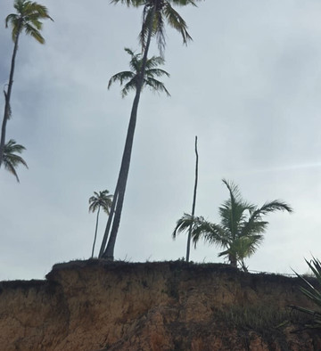 Praia da Barra do Cahy-Cumuruxatiba必去景点