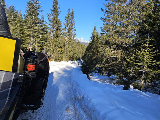 Pferdekutschenfahrten Fiakerei Neuner - Kutschenfahrt Tirol-湖地必去景点