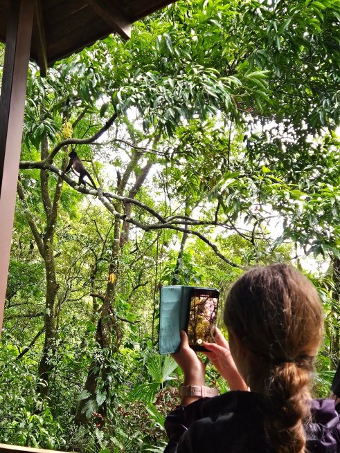 Casitas Tenorio B&B-官方