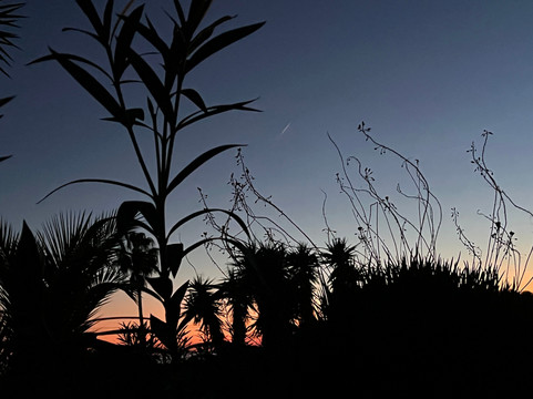 Wild Warrior Yoga-Los Canos de Meca必去景点