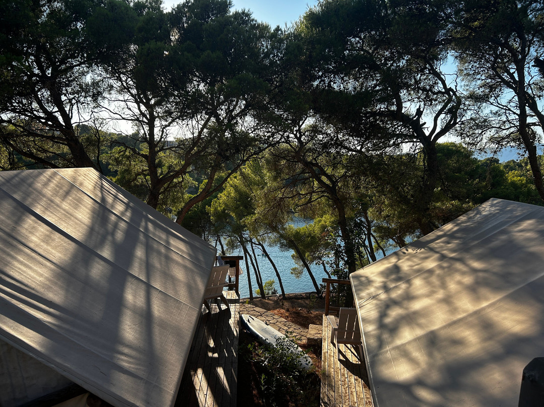 Camp Holiday
