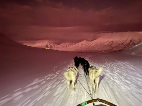 Husky Travellers-朗伊尔城必去景点