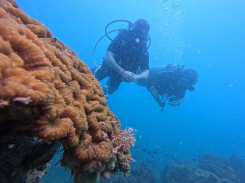 Koh Rong Dive Center-高龙必去景点