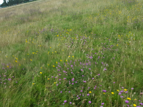 Aldridge Airport Outdoor Activity Centre-Aldridge必去景点