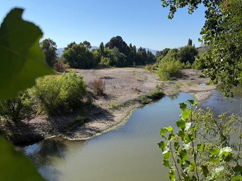 Hotel Vina La Playa主图