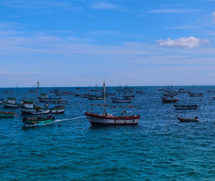 Chelonia Dive Center-Organos必去景点