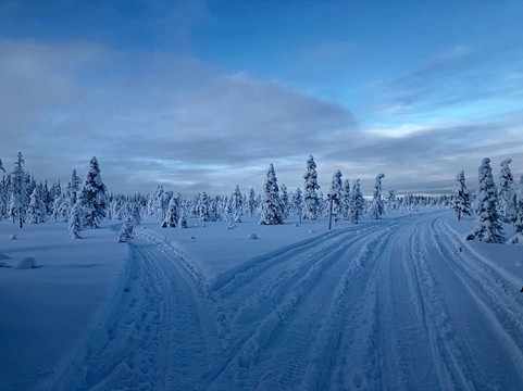 Arctic Borealis Huskies-Ranua必去景点