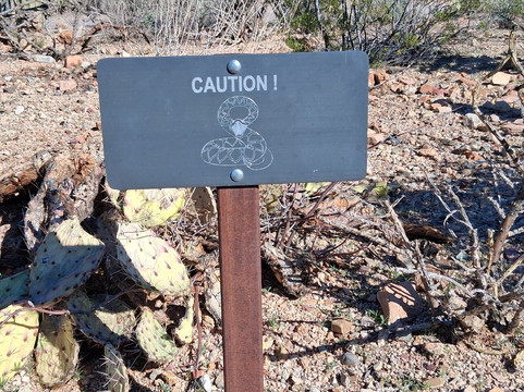 Red Hills Visitor Center-图森必去景点
