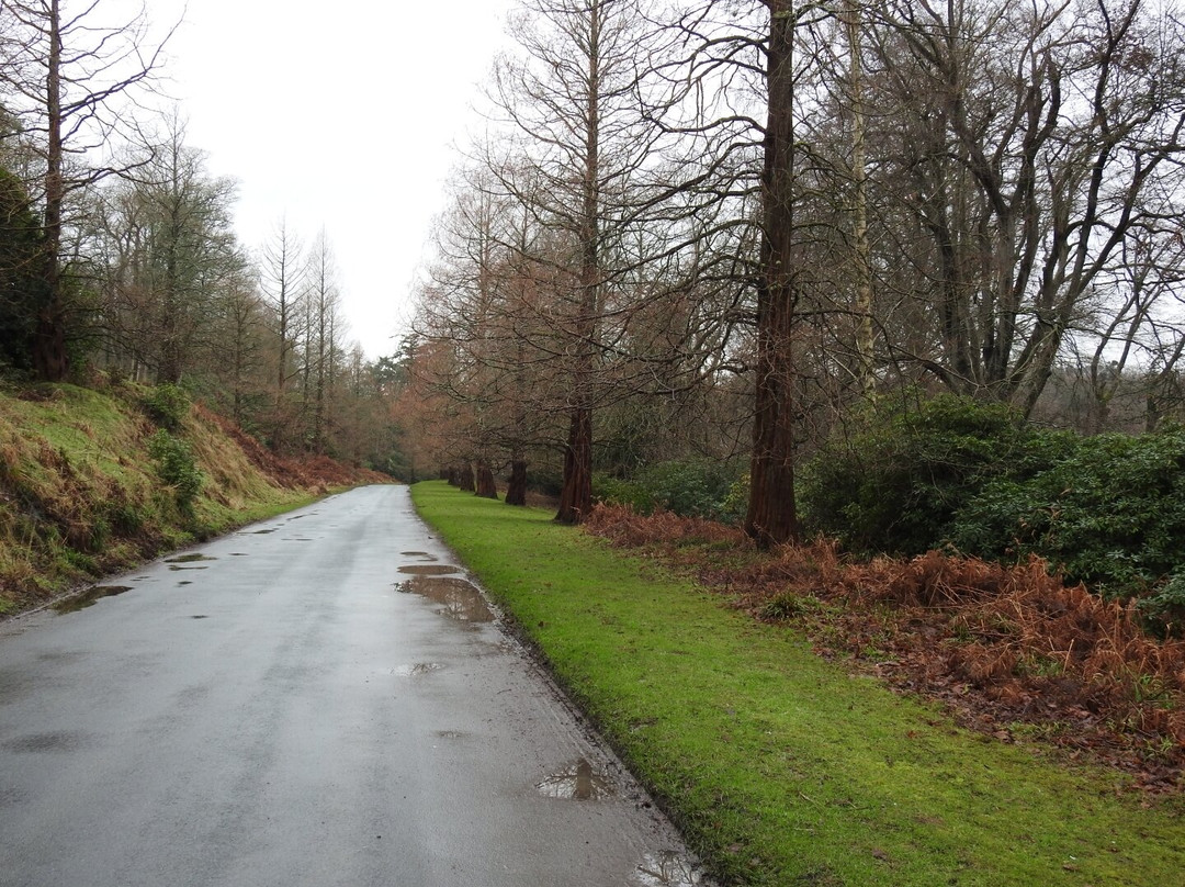 Hulne Park-阿尼克必去景点