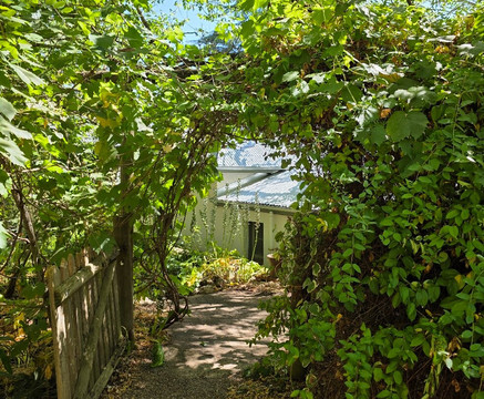 Heysen The Cedars-汉道夫德国村必去景点