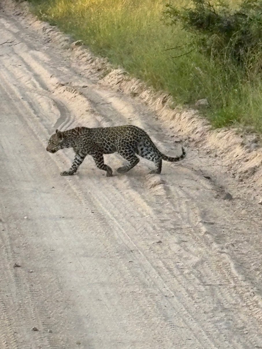 Notten's Bush Camp-官方