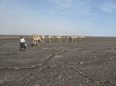 Lucy Ethiopia Tours-亚的斯亚贝巴必去景点