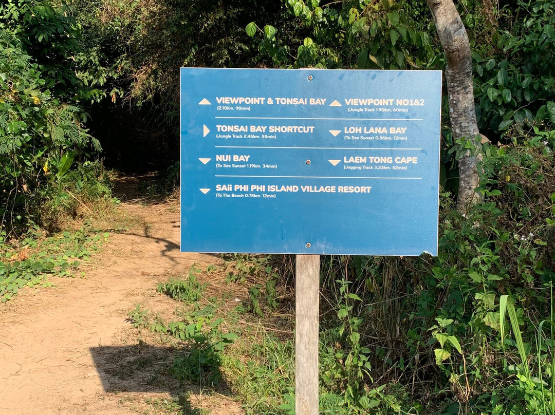 Jungle Trek Phi Phi Islands-大皮皮岛必去景点