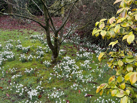 Hopton Hall Gardens-Hopton必去景点