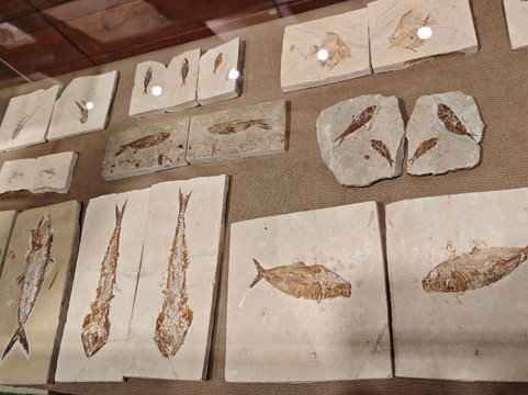 Memory of Time-朱拜勒必去景点