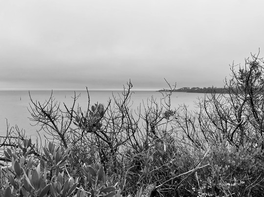 Linley Point-莫宁顿必去景点