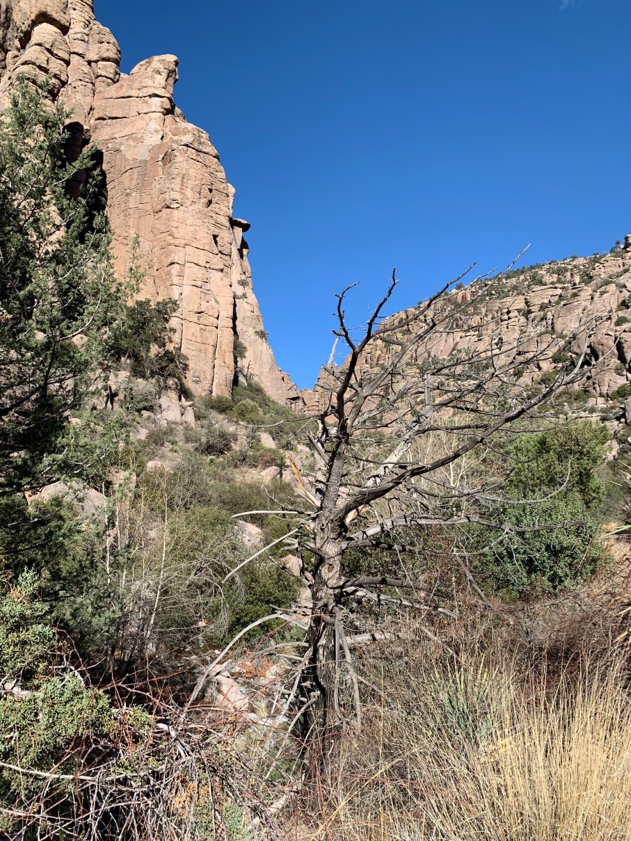 Dreamcatcher Inn At Chiricahua-官方