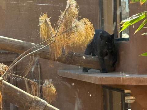 Pai Pai Ecotourism Park-恩塞纳达必去景点