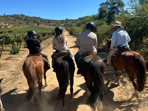 Natural Wine Tours-Palmilla必去景点