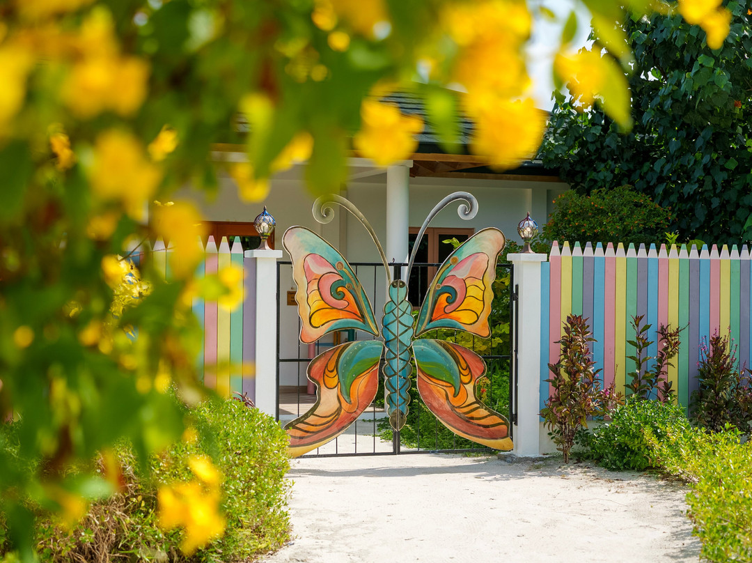 Joy Island Maldives by Cocoon Collection主图