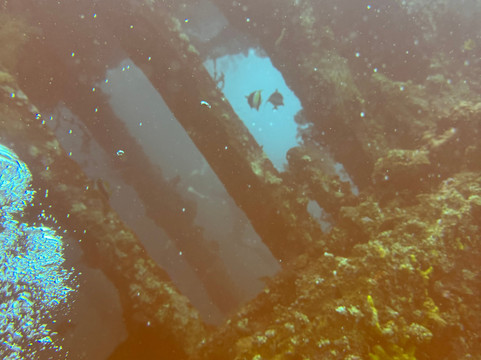 Let's Dive Tulamben-图兰本必去景点