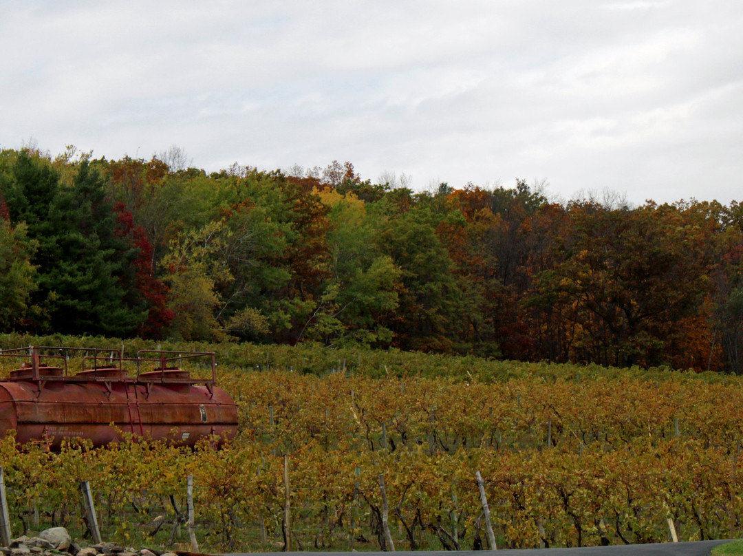 Bully Hill Vineyards Winery-Hammondsport必去景点