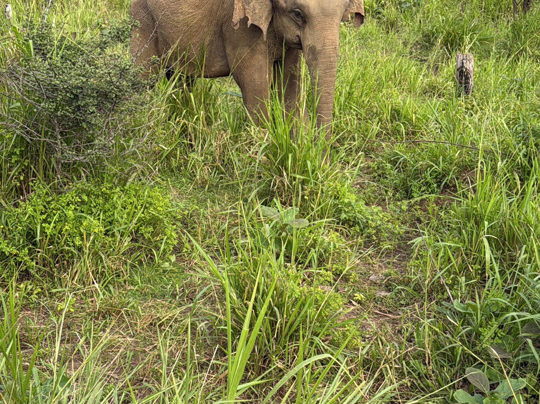 Explore Safari Tours-哈巴拉娜必去景点