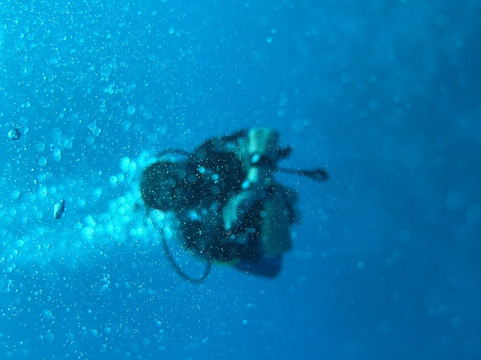 Euro-Divers Niva Kurumba Maldives-库鲁巴椰子岛必去景点
