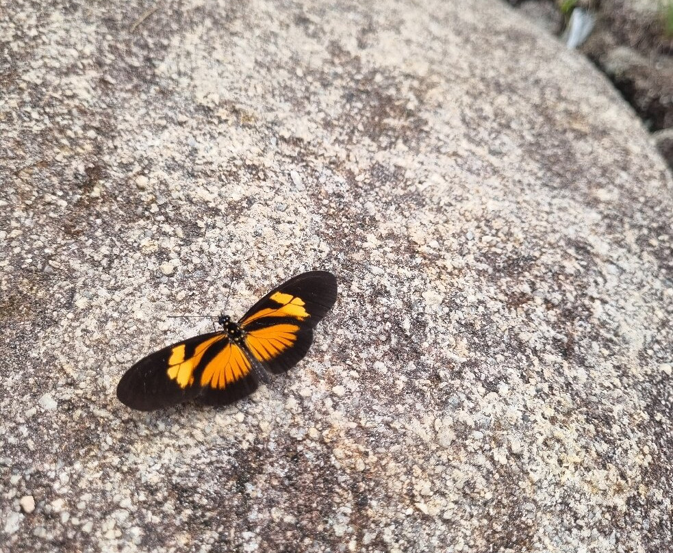 Circuito das Cachoeiras-Chapada dos Guimaraes必去景点