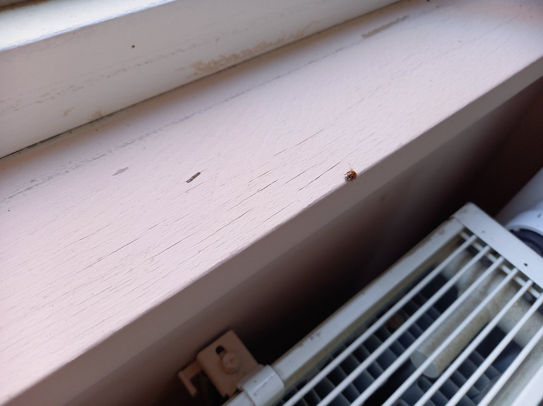 阿尔滕布鲁克庄园主图