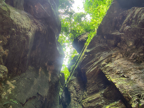 Sítio Salto Andorinhas-Ascurra必去景点