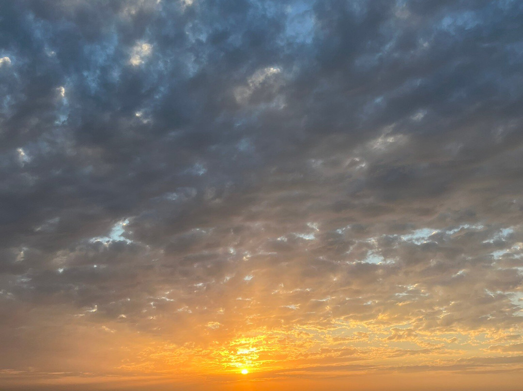 Ecolodge Le Bazouk du Saloum主图