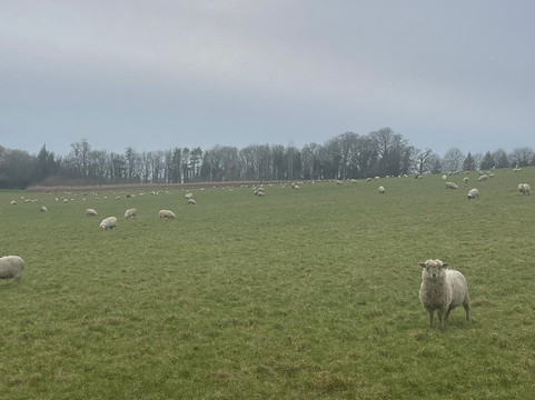 Middle Piccadilly Rural Retreat主图