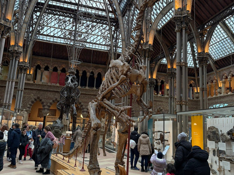 牛津大学自然历史博物馆-牛津必去景点