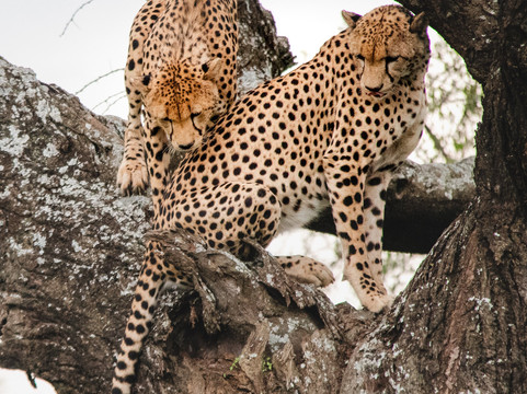 Great Escape Trails-莫西必去景点