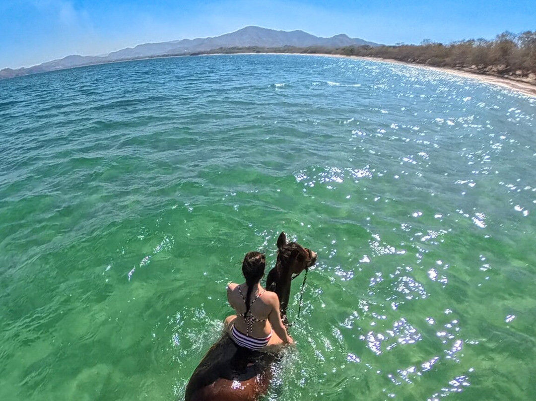 Riding Escapes-Puerto Viejo必去景点