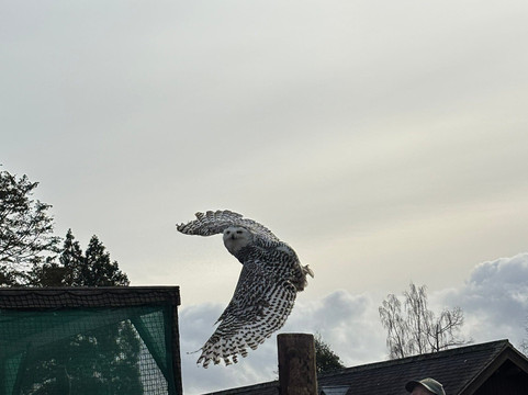 Muncaster Castle-Ravenglass必去景点