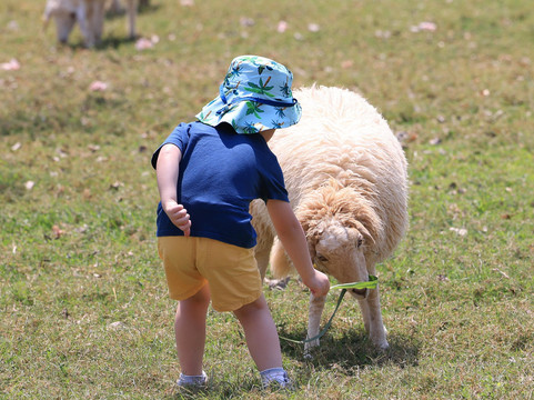 Peter Bangkok Taxi-曼谷必去景点