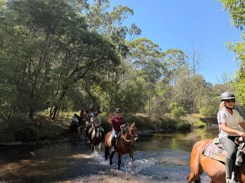 Watson's Mountain Country Trail Rides - Day Tours-曼斯菲尔德必去景点