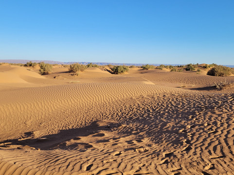 Voyage Désert Maroc-迈哈米德必去景点