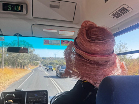 Wilsons Wine Tours Geelong-季隆必去景点