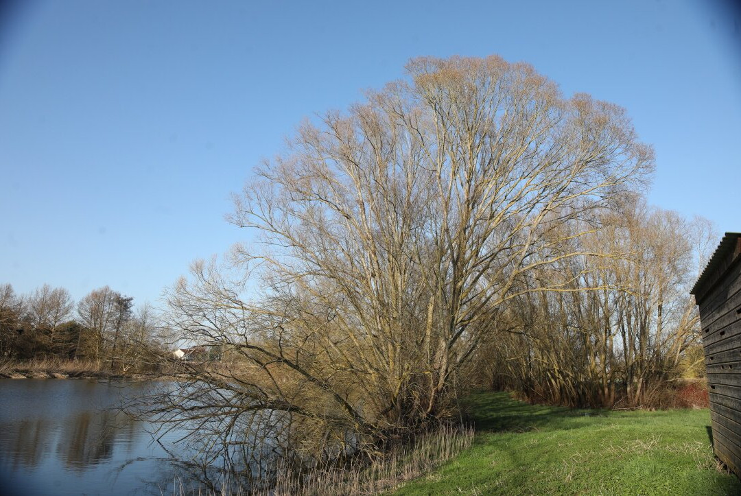 Le Lac de Crissey-Crissey必去景点