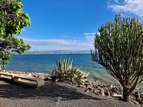 Avner Muller - Private Tour Guide-特拉维夫必去景点