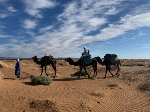 Loud Sahara Day Tours-扎古拉必去景点